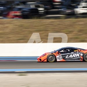 Mclaren F1 GTR Lark